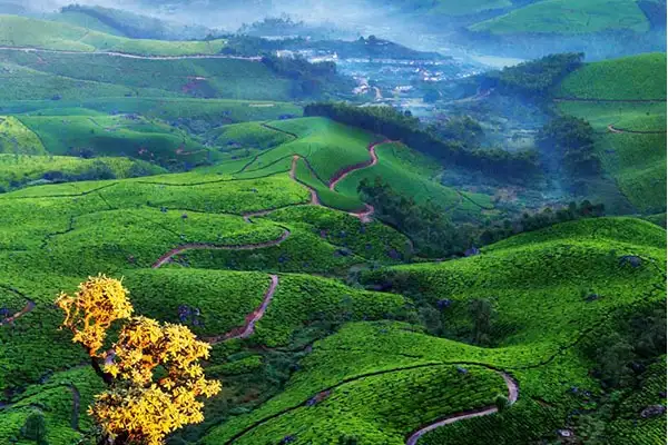 2 days tour packages from coimbatore