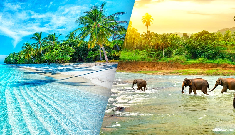 Sri Lanka vs Maldives vs Thailand